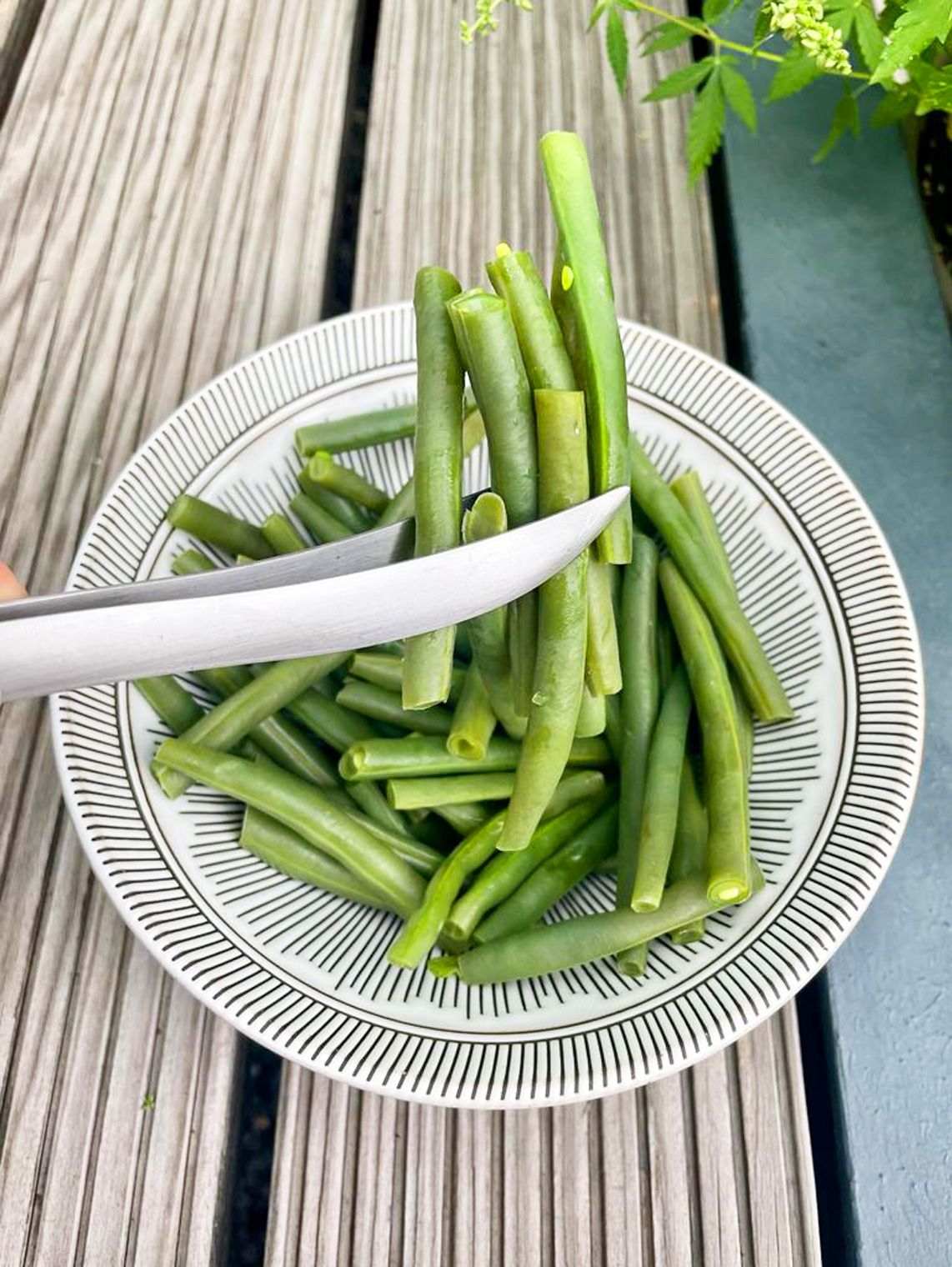 Triangle Table Tweezers